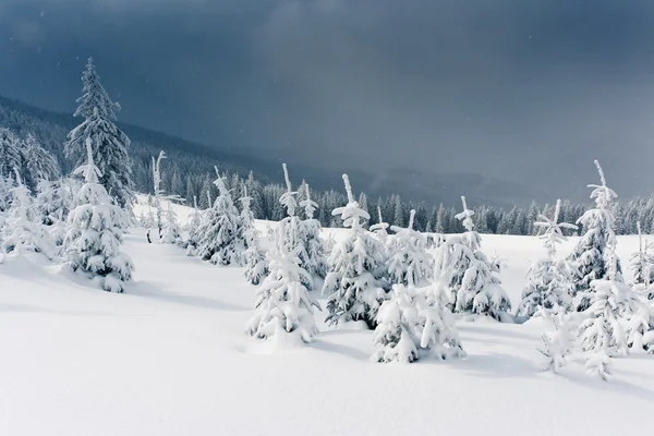 Inverno — Fotografia de Stock