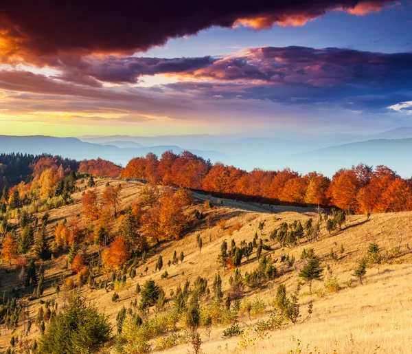 Höstens berg — Stockfoto