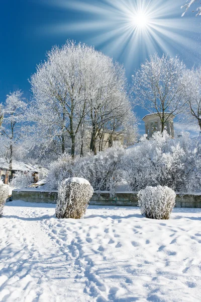 Paisaje de invierno con nieve — Foto de Stock