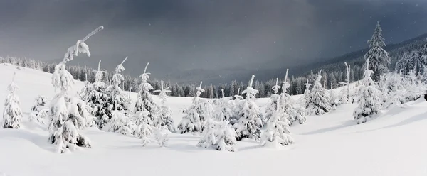 Paesaggio invernale — Foto Stock