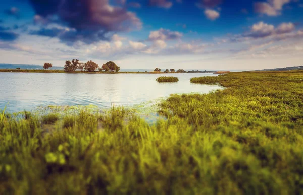 Sinuous river in summer — Stock Photo, Image