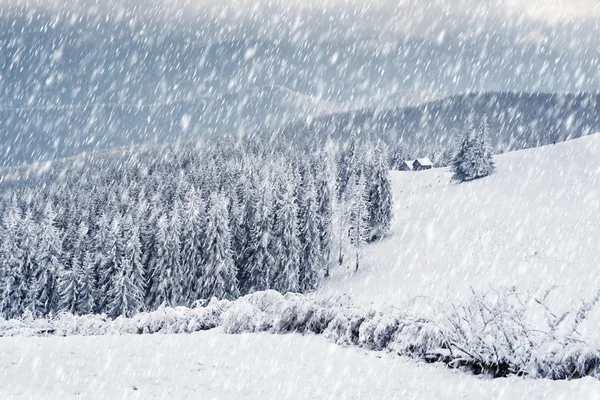 冬季在山中 — 图库照片