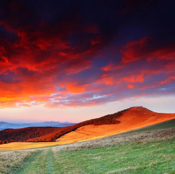 Mattina in montagna — Foto Stock