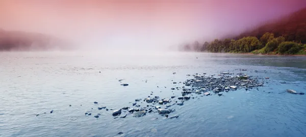 Fogg in the river — Stock Photo, Image