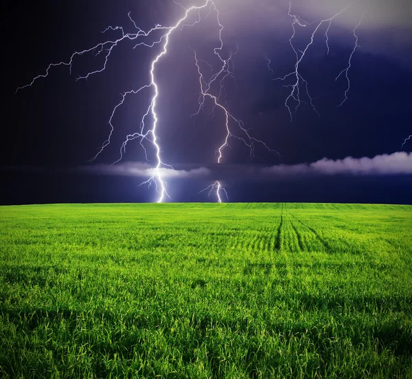 Thunderstorm in green meadow. — Stock Photo, Image