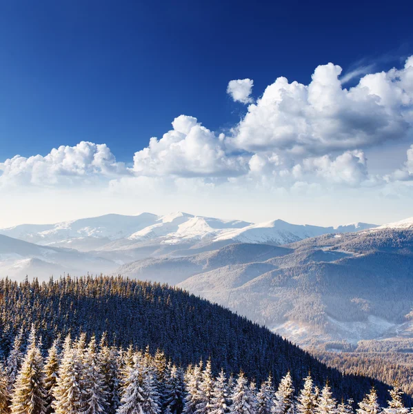 Schöne und frostigen winter — Stockfoto