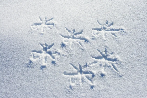 Sneeuwvlok op een verse sneeuw — Stockfoto