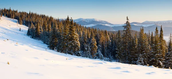 Vinterlandskap — Stockfoto