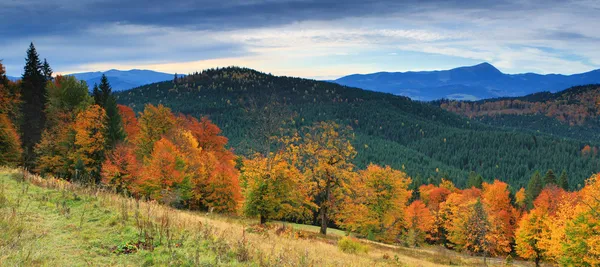 Berglandskap med färgglada skog — Stockfoto