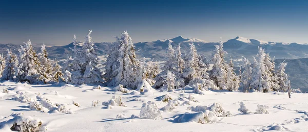 Paesaggio invernale — Foto Stock