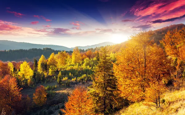 Paesaggio montano con foresta colorata — Foto Stock