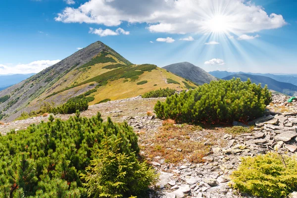 Краєвид на гори — стокове фото