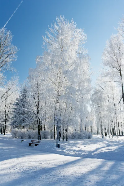 Vinterlandskap med snö — Stockfoto