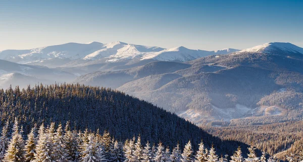 Paesaggio invernale — Foto Stock