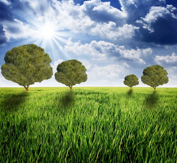 Trees on the green meadow — Stock Photo, Image