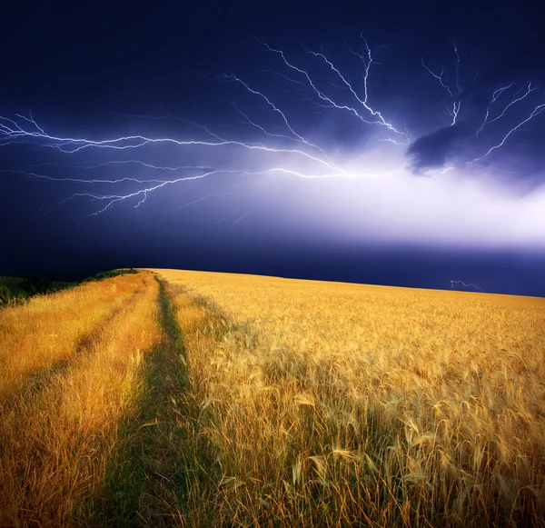 雷雨。 ロイヤリティフリーのストック画像