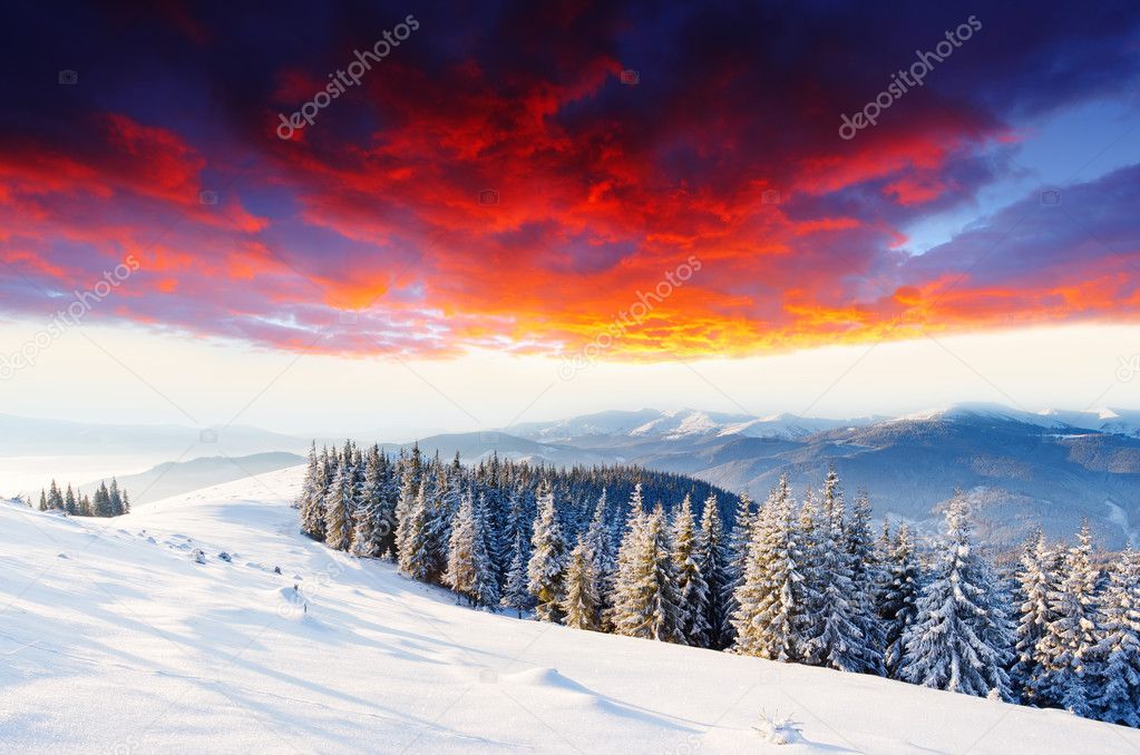 winter landscape