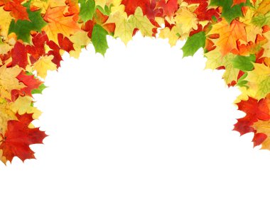 sonbahar yaprakları