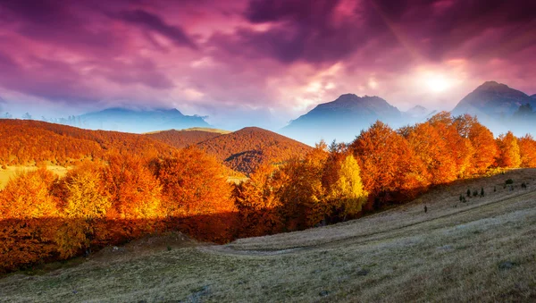 रंगीत जंगलासह पर्वत लँडस्केप — स्टॉक फोटो, इमेज