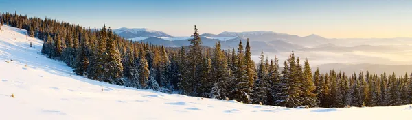 Vinterlandskap — Stockfoto