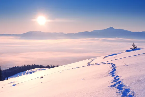 Vinter — Stockfoto