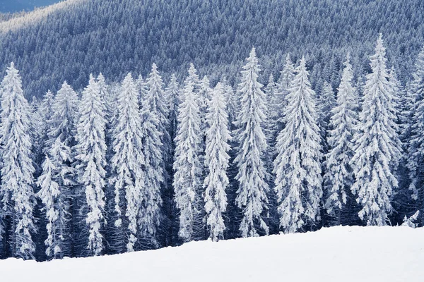 Inverno in montagna — Foto Stock