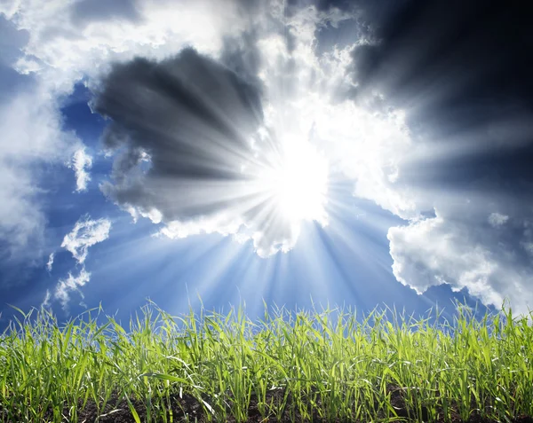 Feld und schöner Himmel — Stockfoto