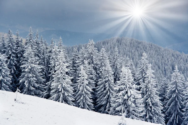 Inverno nas montanhas — Fotografia de Stock