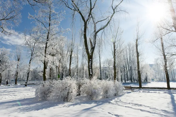 Зима Лицензионные Стоковые Фото