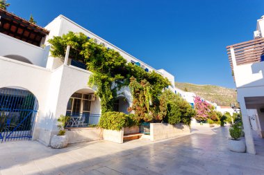 Budva şehir güzel sokak.