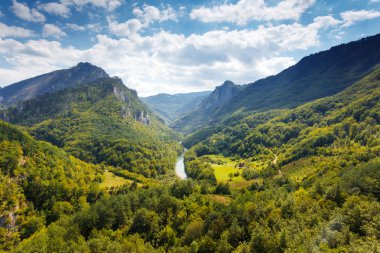 fantastik bir görünümü tara river gorge
