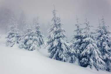 Muhteşem kış manzarası