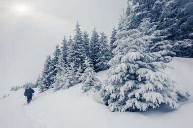 Muhteşem kış manzarası