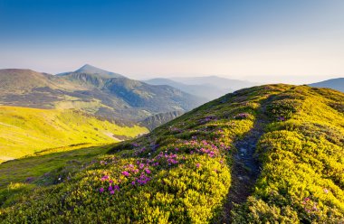dağlarda fantastik güneşli bir gün olduğunu
