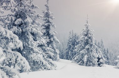 Muhteşem kış manzarası