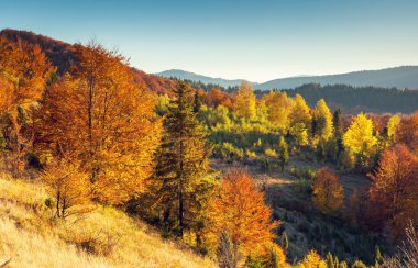 dağ manzarası ile renkli orman ve mavi gökyüzü