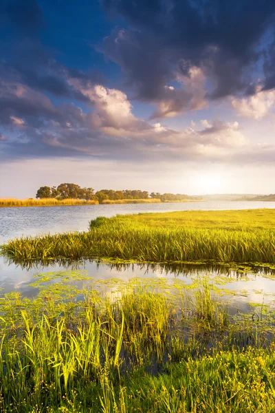 Bochtige rivier in de zomer. — Stockfoto