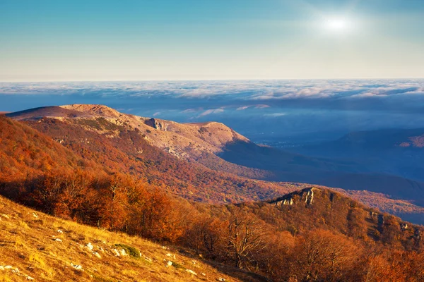 Horská krajina s barevný Les — Stock fotografie