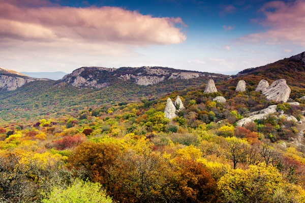 Paysage de montagne avec forêts colorées. — Photo