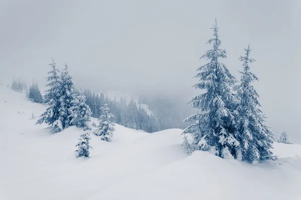 Fantástica paisagem de inverno — Fotografia de Stock