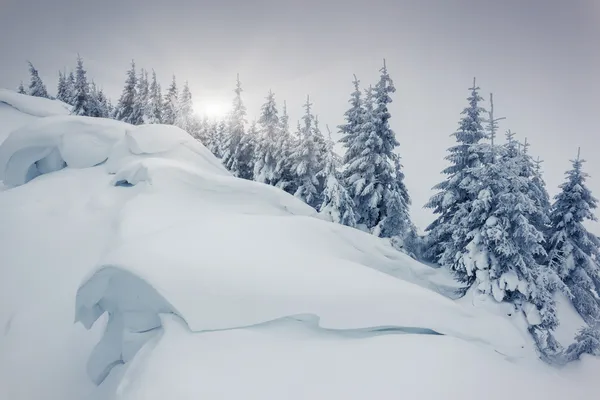 Fantástico paisaje de invierno — Foto de Stock