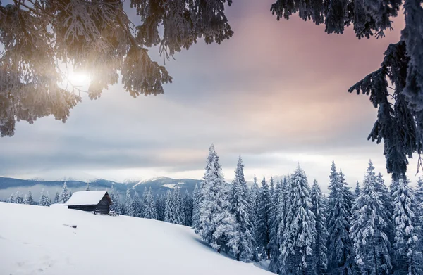 환상적 인 겨울 풍경 — 스톡 사진
