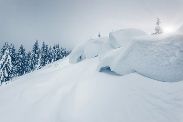 Fantástica paisagem de inverno — Fotografia de Stock