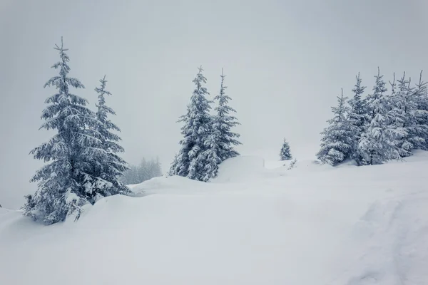 Fantástico paisaje de invierno — Foto de Stock
