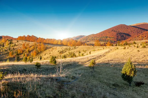 Утренний горный пейзаж с красочным лесом — стоковое фото