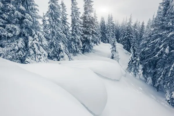 Fantástica paisagem de inverno — Fotografia de Stock