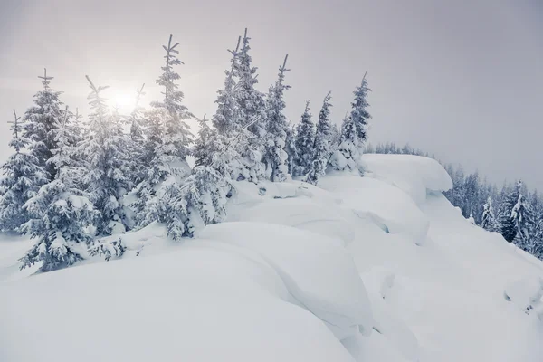 Φανταστικό τοπίο χειμώνα — Φωτογραφία Αρχείου