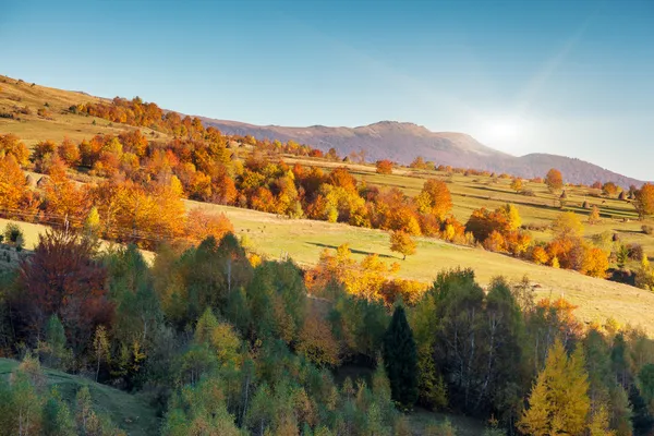 Berglandskap med färgglada skog och blå himmel — Stockfoto