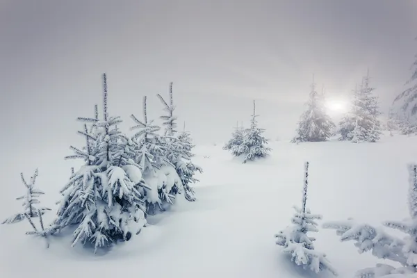 Fantastiskt vinterlandskap — Stockfoto