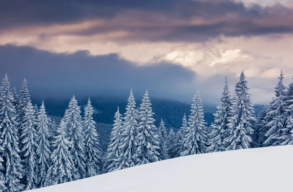 Fantastic winter landscape — Stock Photo, Image